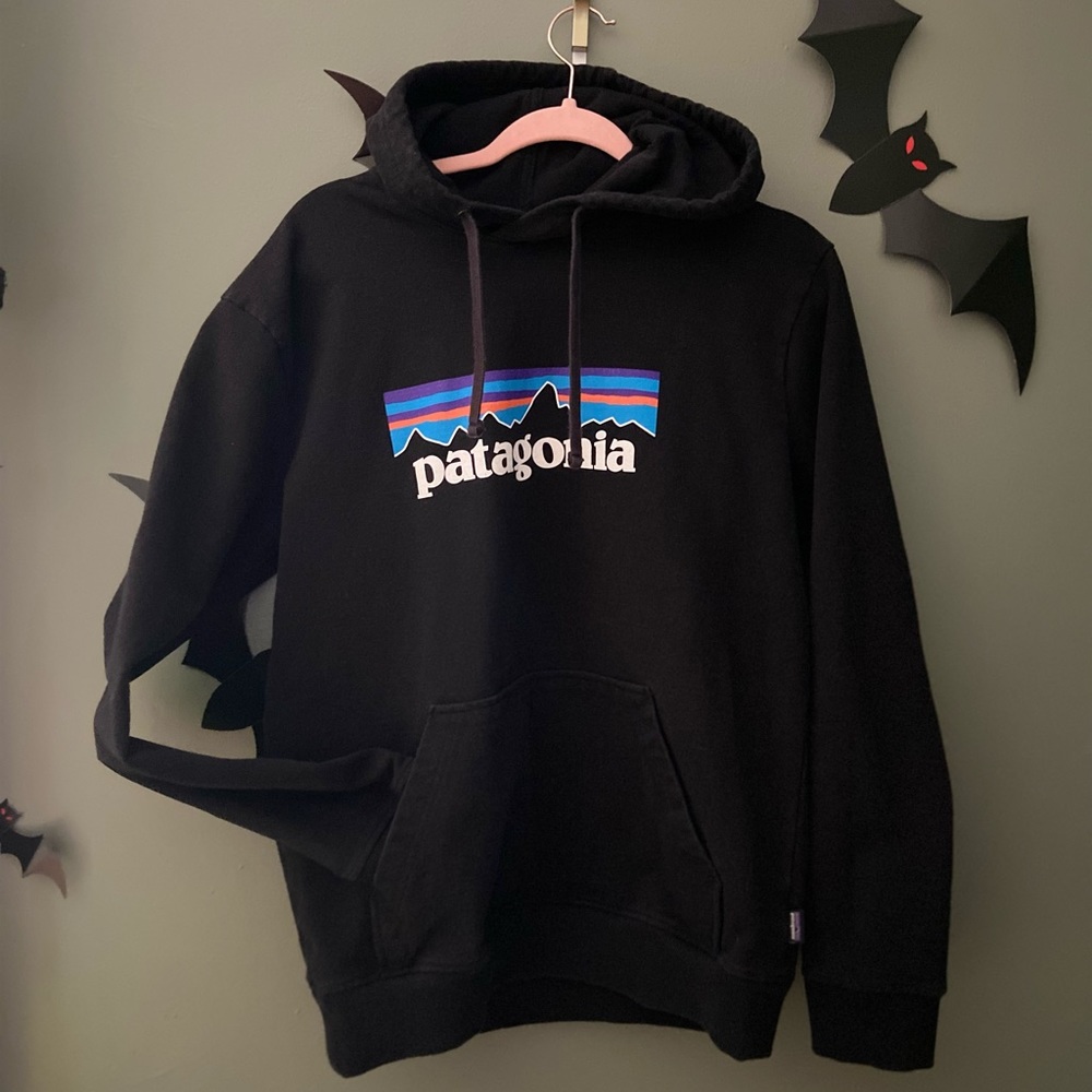 Patagonia hoodie